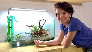 Starting an aquarium / Stones from a river / Planting plants / Aquarium decoration