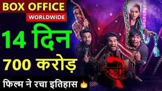 Stree 2 Box Office Collection Day 14, total worldwide collection, shraddha kapoor, rajkumar rao