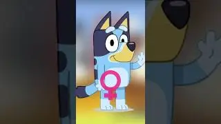 Is Bluey a Boy or a Girl?? 
