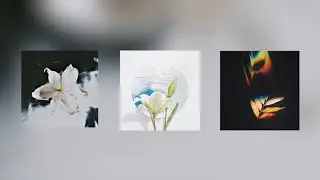Distant Flower [Lofi Beat Tape / Mix]