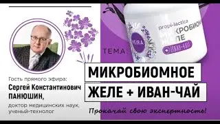 Микробиомное желе Иван-Чай /Veira