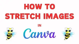 How To Stretch An Image In Canva | PC | *2024