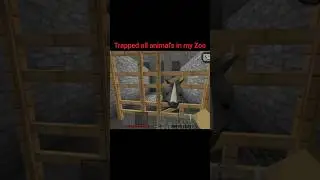 trapped all animal's in my Zoo | mini block craft Survival | #kbcraft #miniblockcraft3d #shortvideo