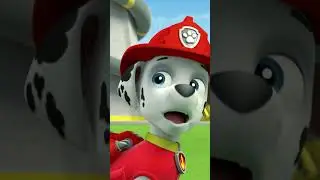 Marshall competes for the Fastest Fire Pup Trophy! #PAWPatrol #shorts