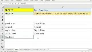 EXCEL: PROPER Text function in Excel that Capitalizes the first letter in each word of a text value