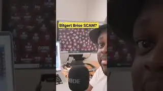 Bitgert Brise Crypto Project A SCAM?