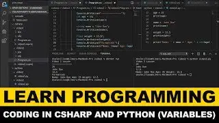 Learn Programming Fundamentals - How To Declare Variables In Both C# and Python?