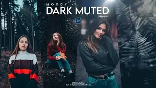 Mastering the Mystery: Unveiling Dark Muted Lightroom Presets for Stunning Photography