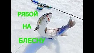 ПОДБОР ПРИМАНОК ПО ВЕСЕННЕМУ ЛЬДУ. Сахалинский таймень.  ribalka.