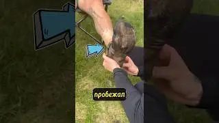 НОГИ МАРАФОНЦА. @BrockCovington