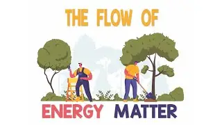 Flow of Energy Matter | Animation