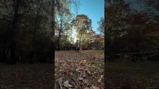 У вас уже была осенняя фотосессия?