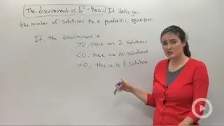 The Discriminant
