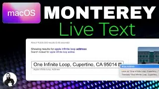 Live Text in Photos in MacOS Monterey!