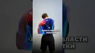 БОЛЬ В ОБЛАСТИ ЛОПАТКИ