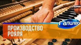 Галилео 🎹 Производство рояля