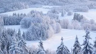 Pechenki Life - Про зиму