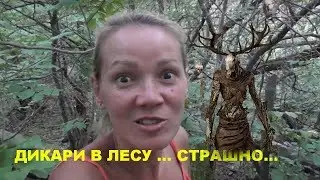 Кемпинг Одни на острове.Camping.Some on the island with tents.