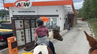 Taking My Horses Through A&W Drive-Thru: Trip Vlog Part 2