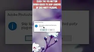 Fix Photoshop Crashing at Startup