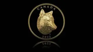 Pure Gold EHR Coin – Timber Wolf – Mintage: 275 (2022)