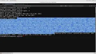 1 Overview of NGINX Modules