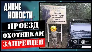 Запрет транспортировки оружия/Чиновники браконьеры