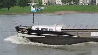 Schiffe FPD Ussel, Mercury, Sophie Deymann, Cortina, Victus auf dem Rhein