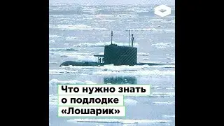 Что нужно знать о подводной лодке «Лошарик»?