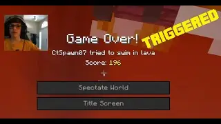 I died in Hardcore Minecraft