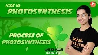 Process of PHOTOSYNTHESIS | Photosynthesis Class 10 ICSE Biology | Science | Vedantu 9 and 10