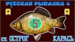 РР4 ОСТРОГ КАРАСЬ / РУССКАЯ РЫБАЛКА 4 СТАРЫЙ ОСТРОГ КАРАСЬ / RUSSIAN FISHING 4 CRUCIAN CARP