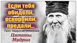 Если тебе Очень плохо и обидно...Мудрые Цитаты старца Амвросия Оптинского об обидах и обижающих нас