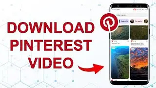 How to Download Video From Pinterest to Gallery Android