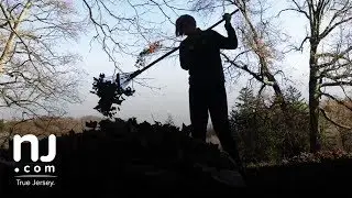 Don't rake those leaves!