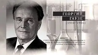 Биосфера. Законы жизни (Экосистемы)