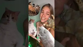 Как сделать самый милый сайт? 😻😽✨ 