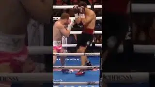 dmitry bivol beaten by canelo alvarez 