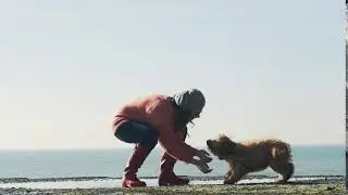 slow motion of a woman and a dog playing and chasing each other on the beach slow motion hd video h