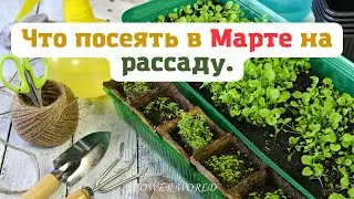 Что посеять в Марте на рассаду.💐