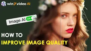 How to Increase Image Resolution in Winxvideo AI | Low Res to 4K/8K/10K