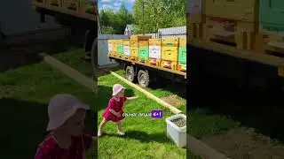 Как выгодно купить ульи 