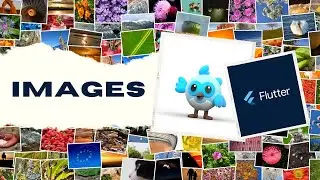 How to Display Images in Flutter: Asset Images, Network Images & Image Caching