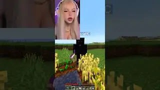 Minecraft with 