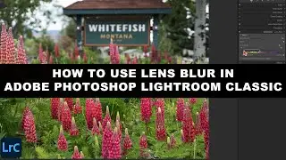 How to use LENS BLUR in Adobe LIGHTROOM CLASSIC