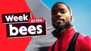 Week at the Bees 🐝 Exclusive David Raya chat, Ben Mee & MORE! 🔥