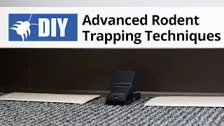 Advanced Rodent Trapping Techniques Techniques | Rodent Control Tips