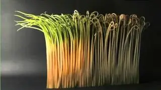 Handmade Ceramic Artists Inspired By Nature | Colorful Ceramic Picture Set And Decoration Ideas