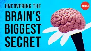 Uncovering the brains biggest secret - Melanie E. Peffer