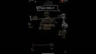 Which type organization you work in? Function or Project Oriented?